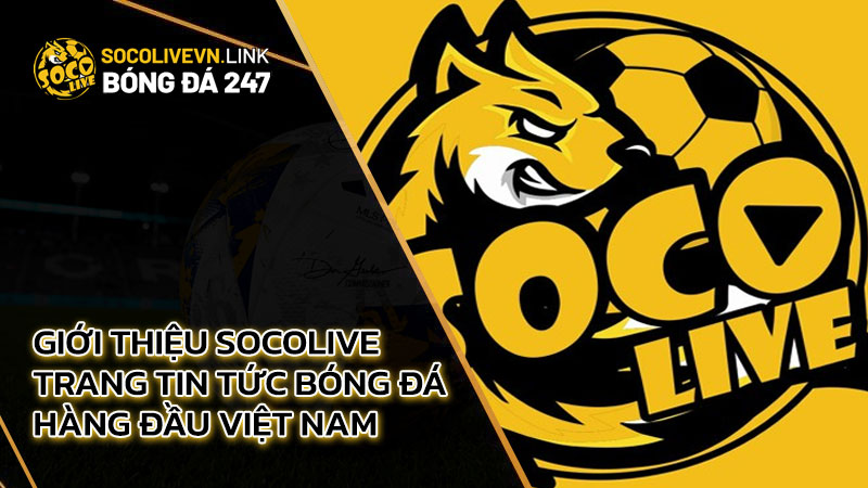 Giới thiệu Socolive - Trang tin tức bóng đá hàng đầu Việt Nam
